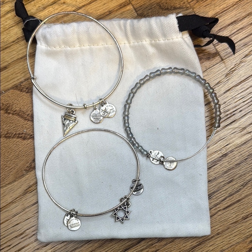 Silver Charm Bracelet Set Alex & ani